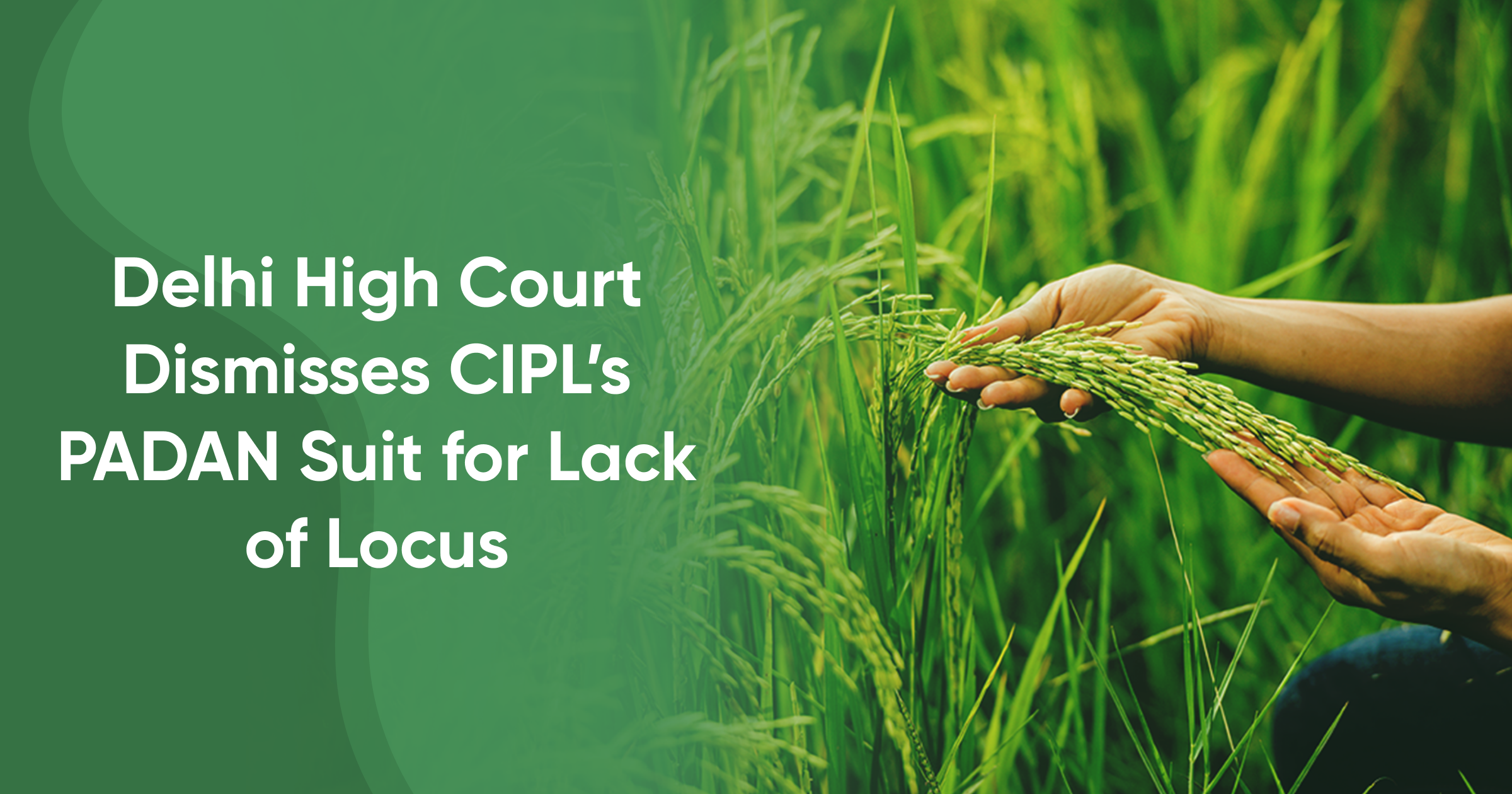 Delhi High Court Dismisses CIPL’s PADAN Suit for Lack of Locus